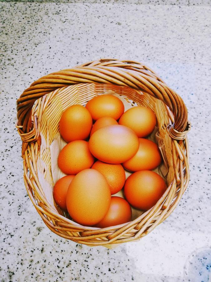 Cal Pau De La Gralla Pobla de Montornés Dış mekan fotoğraf